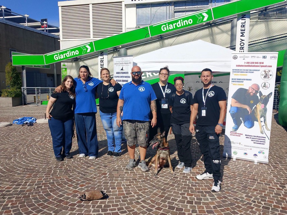 image cover media
